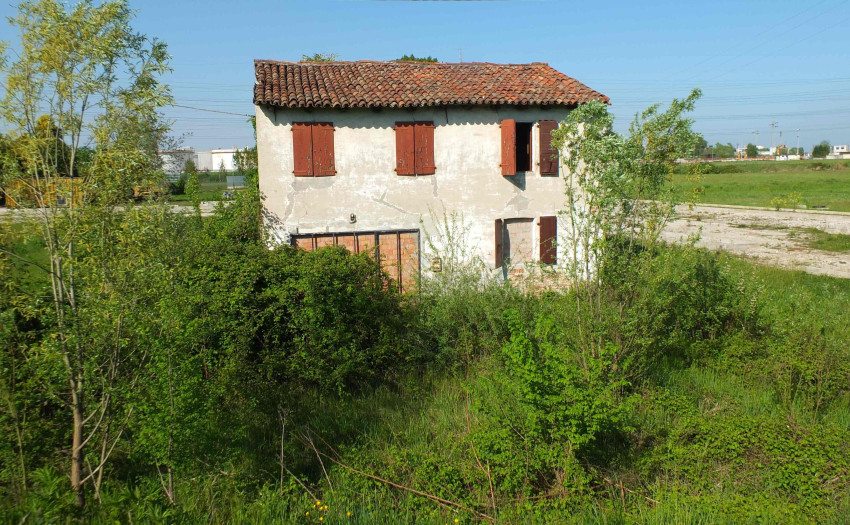 rustico